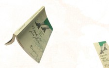 Vì tình yêu phù phiếm hay truyện của gã nhà văn Răng Nhọn viết ra