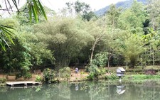 'Hòn ngọc' Sơn Trà từng có vườn thực nghiệm