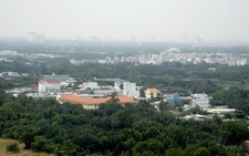 Bán đấu giá 200 căn hộ chung cư tái định cư Phú Mỹ, quận 7