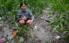 'Khi thấy tay chân bé sơ sinh trồi lên cát, tôi tưởng búp bê'