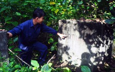 Thúc tiến độ dự án sân bay Long Thành