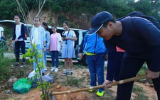 Thắp lên tình yêu Sơn Trà