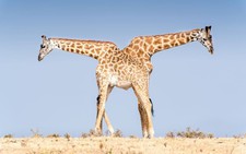 Ảnh thiên nhiên đẹp ngẩn ngơ từ cuộc thi ảnh du lịch NatGeo