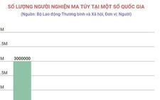 Có khoảng 1.600 người nghiện tử vong vì 'sốc' ma túy mỗi năm