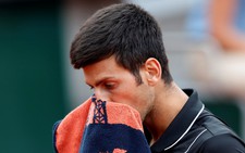 Cecchinato loại Djokovic ở tứ kết Roland Garros