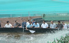 Đưa Việt Nam trở thành “thủ phủ” ngành tôm