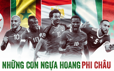 World Cup 2018 mong chờ gì từ những con ngựa hoang Phi châu