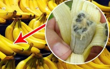 Không thể viện lý do 'thấy ngon quá nên ăn thử' trong siêu thị