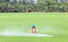 Cả trăm ngàn tấn thuốc bảo vệ thực vật đổ xuống ruộng đồng mỗi năm