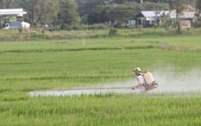 Giúp nông dân làm nông sản sạch