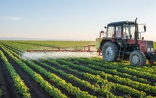 Chất diệt cỏ glyphosate gây ung thư: Monsanto muốn thoát thân?