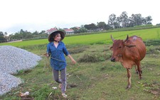 Ba đốm sáng giữa cuộc đời