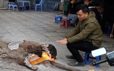 Các tỉnh miền Bắc chạy đua chống rét hại