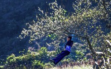 Khi người Mông ăn Tết Nguyên đán