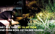 Bắt quả tang xe tải đổ trộm hơn 6 tấn phế phẩm động vật ra môi trường
