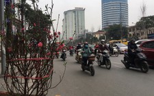 Tết nguyên đán trời sẽ đẹp, se lạnh, 'ủng hộ' du xuân