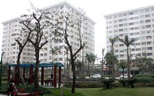 Những yếu tố tác động thị trường bất động sản 2019