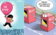Năm Tuất và những con số trời ơi đất hỡi