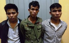 Bắt băng lái ôtô trộm cắp liên tỉnh