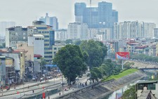 Sau đường Láng, Hà Nội sẽ lại tiếp tục chặt, chuyển cây xanh