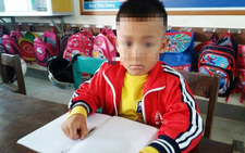 Tạm đình chỉ cô giáo tát học sinh lớp 1 chảy máu tai