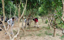 Thử nghiệm cách dạy mới xong, kinh nghiệm là gì?