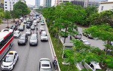 Hà Nội 'xin' trồng thêm 600.000 cây xanh không qua đấu thầu