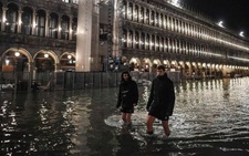 Venice đạt đỉnh triều trong 50 năm, người dân và du khách cùng khổ