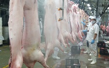 Giá thịt heo bình ổn được điều chỉnh tăng thêm 8.000-35.000 đồng/kg