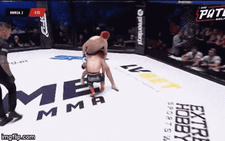 Video 'trận đấu MMA kỳ lạ', võ sĩ cao 1,69m đánh tơi tả 'chú lùn' 1,31m