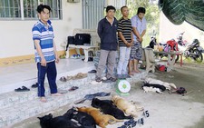 Bắt trộm chó, phát hiện đối tượng tàng trữ ma túy