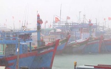 Đề nghị hỗ trợ 11 tàu cá chạy vào Philippines trú bão số 6