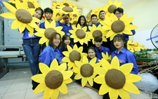 Hoa hướng dương 'khổng lồ' giữa mùa đông Hà Nội
