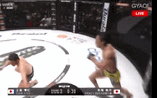Video võ sĩ MMA Yusuke Yachi tung cú sút như 'siêu sao bóng đá' hạ đo ván đối thủ