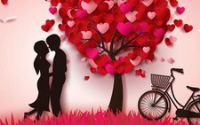 'Tết mới qua, Valentine đã tới, tôi không ghen tị với họ'