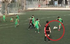 Video hài hước: 'Cẩu tặc' đại náo giải bóng đá Thổ Nhĩ Kỳ