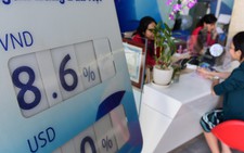 Sau tuyên bố sẵn sàng bán ngoại tệ can thiệp, tỉ giá USD hạ nhiệt