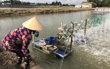 Hoa Kỳ công bố thuế chống bán phá giá tôm Việt Nam còn 0%