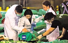 Ma túy đá từ tam giác vàng - Kỳ 4: Các đường dây người Hoa