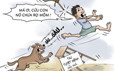 Thú cưng thả rông thành thú dữ