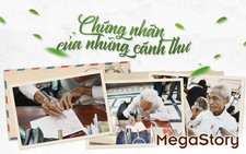 Chứng nhân của những cánh thư