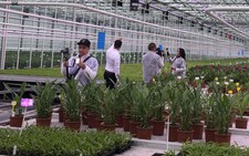 Đà Lạt có thể là 