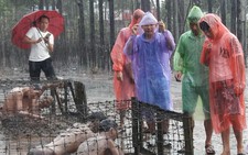 Mưa làm 'khổ' du khách ở Phú Quốc