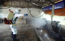 Cục trưởng chăn nuôi cảm thấy 