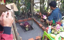 Không có chuyện “Hoa thánh” ở Kiên Giang
