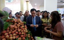 Lần đầu tiên vải thiều Bắc Giang có sản phẩm hữu cơ