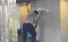 Video thả cặp rắn hổ mây 'khủng' về với thiên nhiên