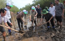 Trồng 2.000 cây mắm ven biển chống sạt lở
