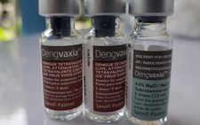 Mỹ cấp phép sử dụng vaccine phòng sốt xuất huyết Dengvaxia