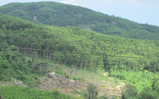 Một kiểm lâm mất tích bí ẩn ở Bình Định